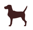 earthzpet icons-06 colour