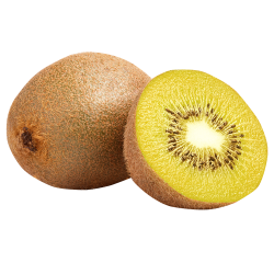 kiwi_icon