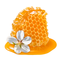 manuka_icon